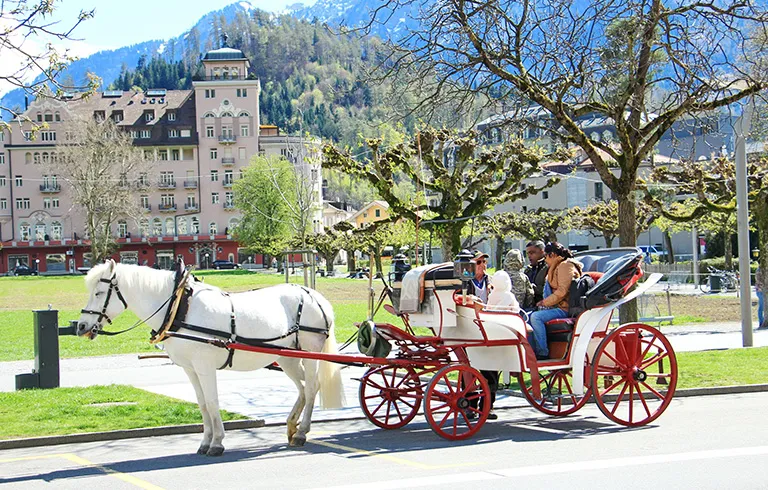 Interlaken, Lucerne & Paris