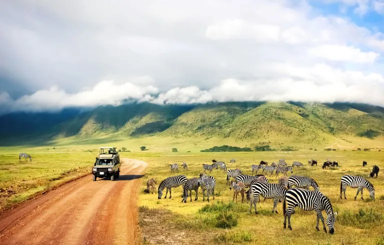Kenyan & Tanzanian Safari