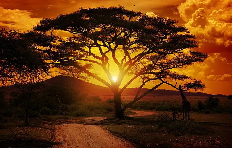 Cape town with Sun City