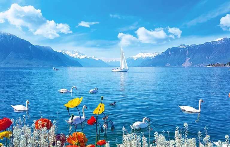Geneva | Etihad Promotion