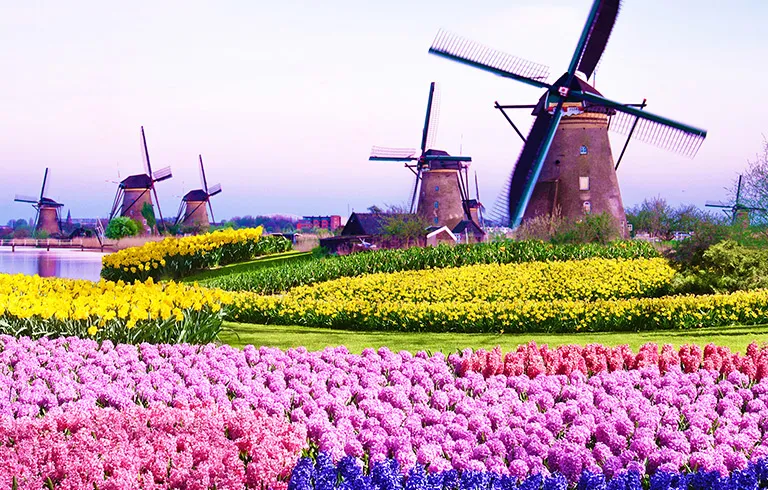 Netherlands & Belgium